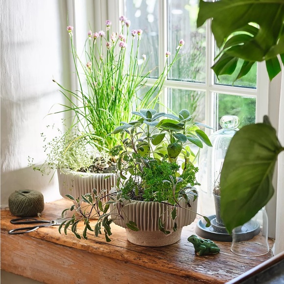 Anthropologie BRAND NEW, Chiara Compote Vase - Picture 2 of 4